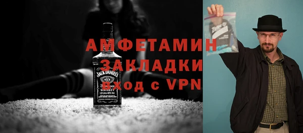 хмурый Алексин