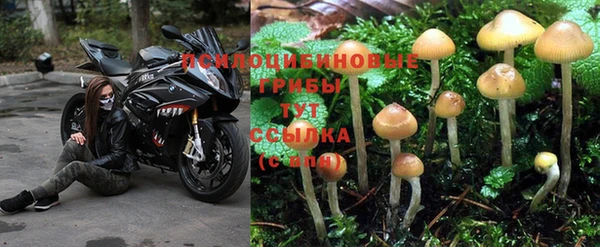 хмурый Алексин