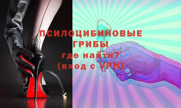 хмурый Алексин