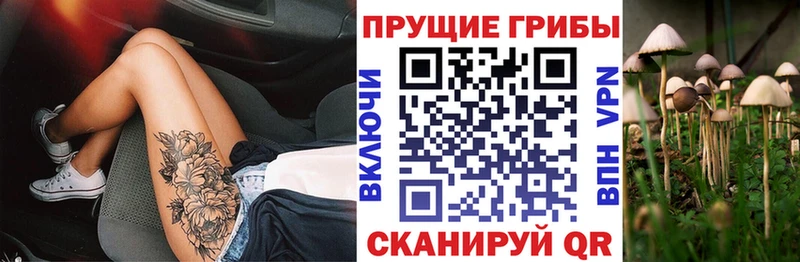 Псилоцибиновые грибы прущие грибы Железногорск-Илимский
